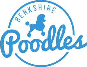 Berkshire Poodles logo